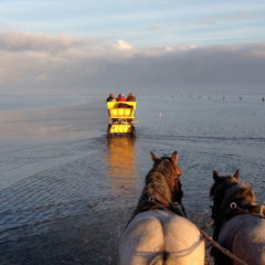 Nordseeinsel Neuwerk