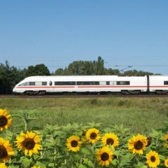 Reise-Challenge durch Deutschland