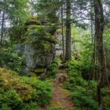 Urlaub im Bayerischen Wald