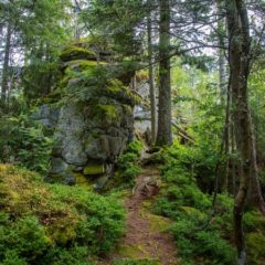 Urlaub im Bayerischen Wald