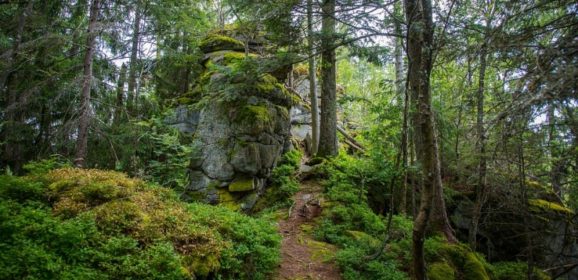 Urlaub im Bayerischen Wald