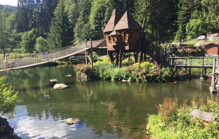 Steinwasen Park