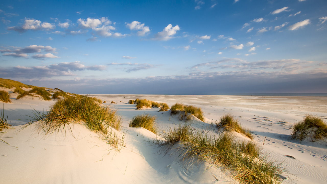 Strand auf Amrum
