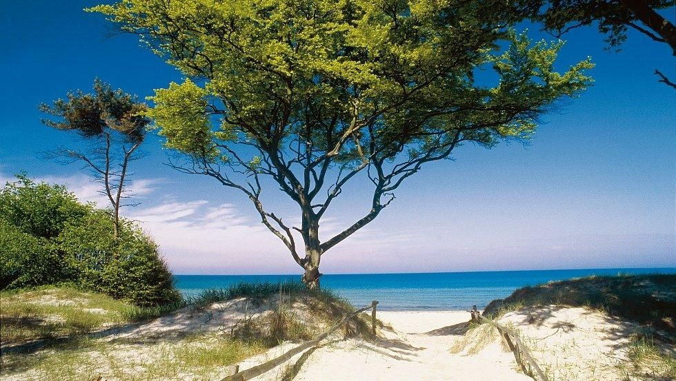 Der Darß, Ostsee