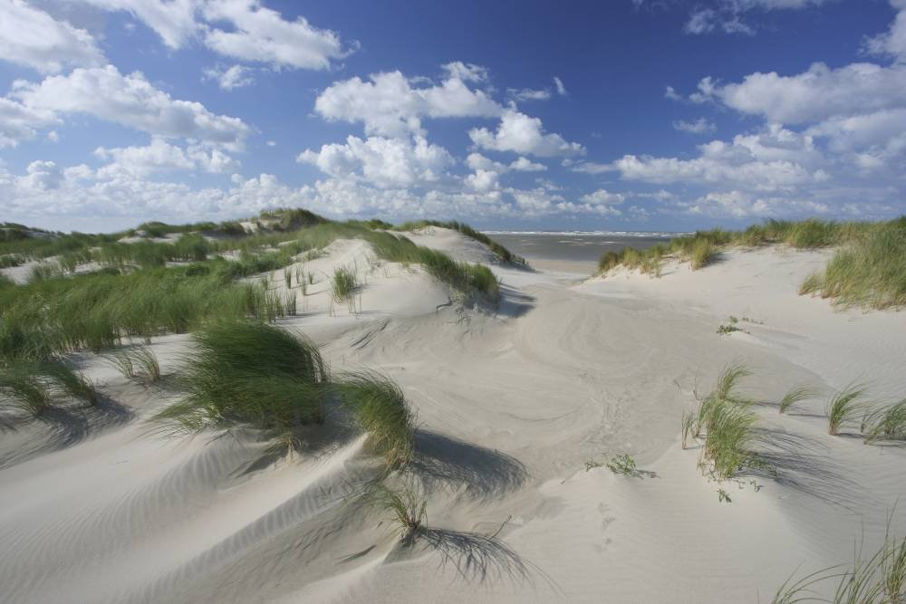 Strand von Spiekeroog