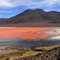 7 spannende Reisetipps für Bolivien