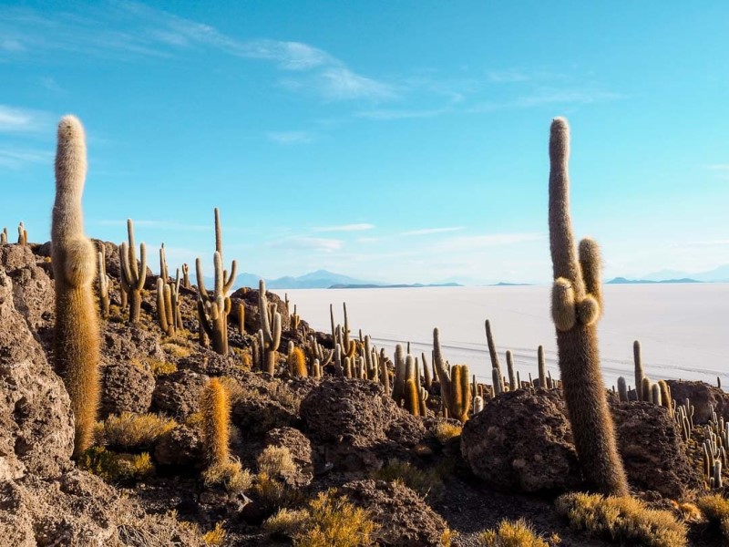 7 Reiseziele für Bolivien
