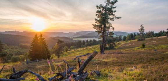 11 Ausflugsziele im Sauerland