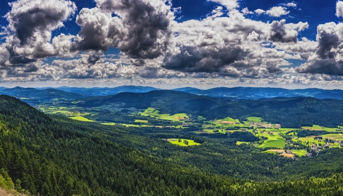Landschaft des Bayerischen Wald