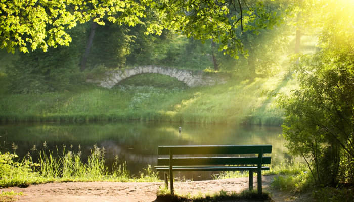 Der Wörlitzer Park