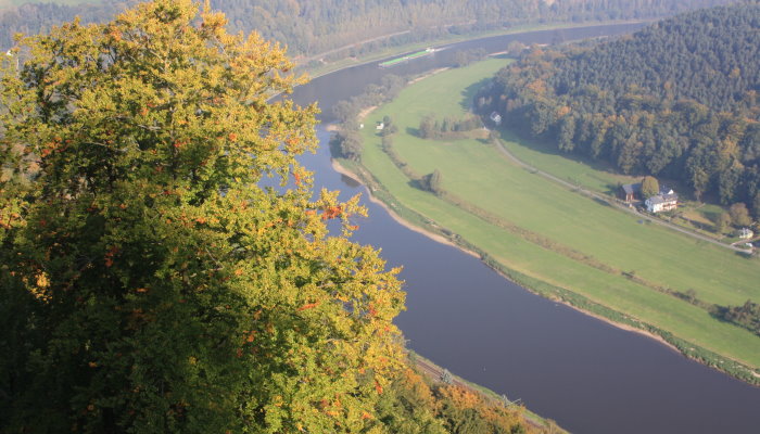 Blick über das Elbtal
