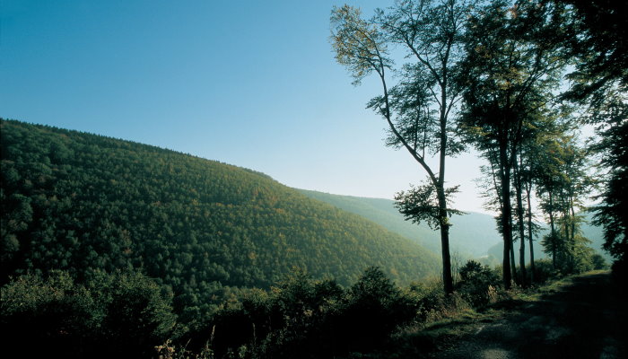 Blick über den Teutoburger Wald
