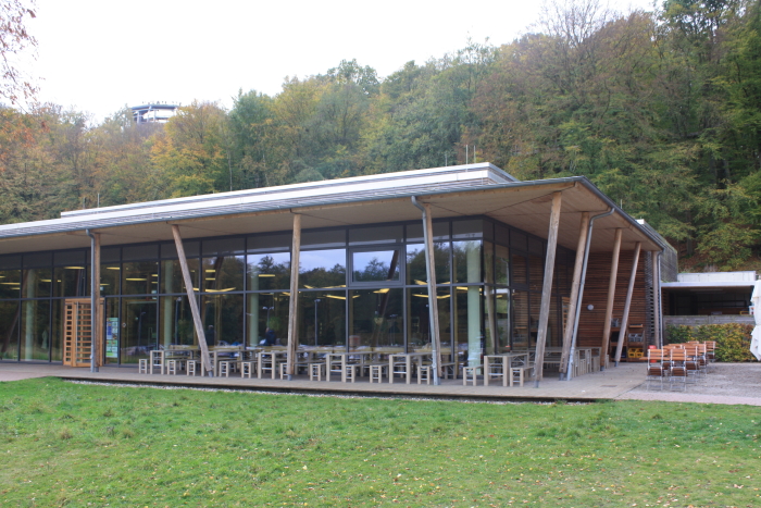 Baumwipfelpfad auf Rügen