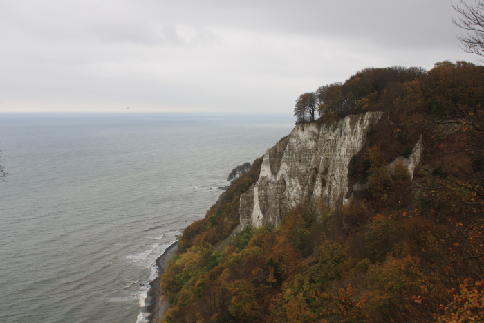 Die Kreidefelsen von Rügen