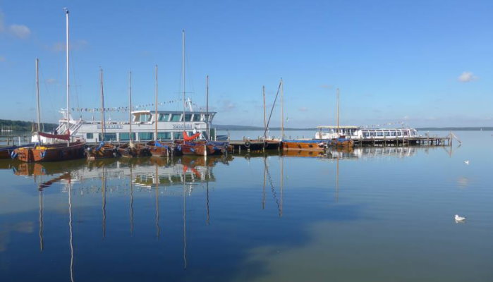 Seegelboote am Steinhuder Meer